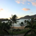 Hawaii 2010 006