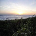 Hawaii 2010 286