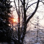 Snow-2011 012