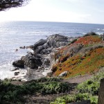 Asilomar 106 blog